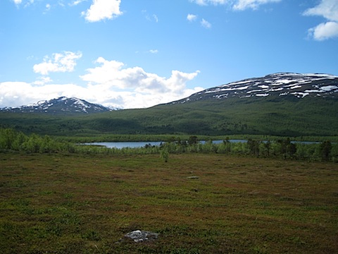 Abisko Juni 2009 dag 3 - 23.jpg